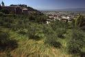 Italy 99 Volterra